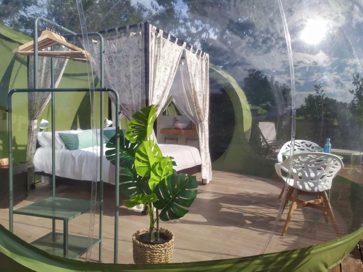 Remanso De Trasfontao Casa Das Arbores & Bubble Silleda Εξωτερικό φωτογραφία