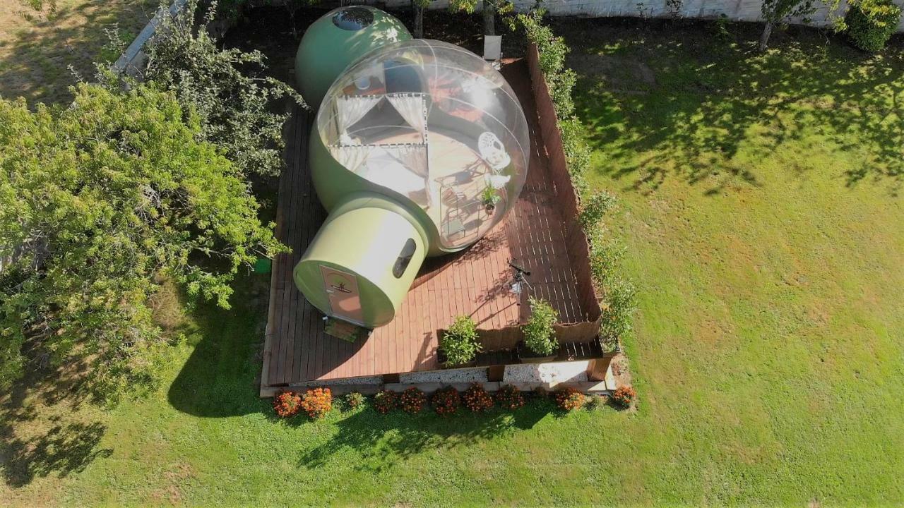 Remanso De Trasfontao Casa Das Arbores & Bubble Silleda Εξωτερικό φωτογραφία